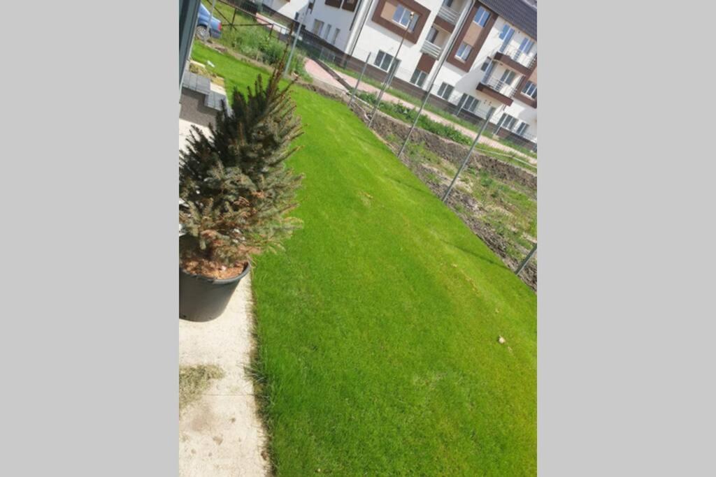 Garden Leisure Brasov